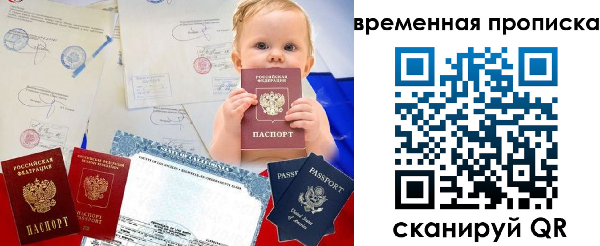 прописка для работы в Волоколамске